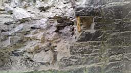 acastle
                          101405.jpg